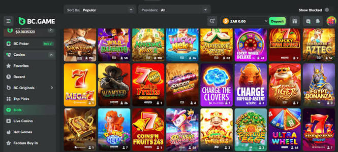 Exploring the Exciting World of Online Casino BC Game RO