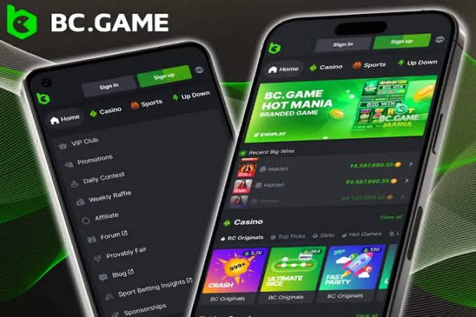 BC.Game Casino and Sportsbook Your Ultimate Gaming Destination 893427489