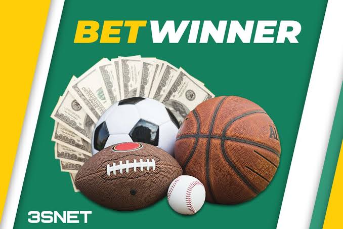 BetWinner Sportsbook A Comprehensive Guide for Bettors