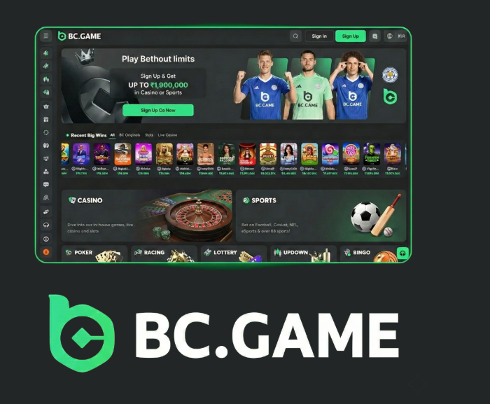 Explore the Thrills of BC.Game Poland A Gamer's Paradise